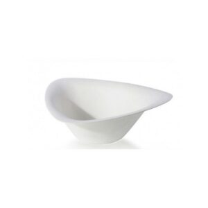 SALADIER 10 PCS 380 ml canne à sucre