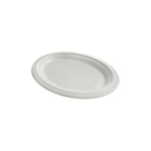 SALADIER 10 PCS 380 ml canne à sucre