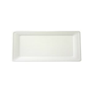 SALADIER 10 PCS 380 ml canne à sucre